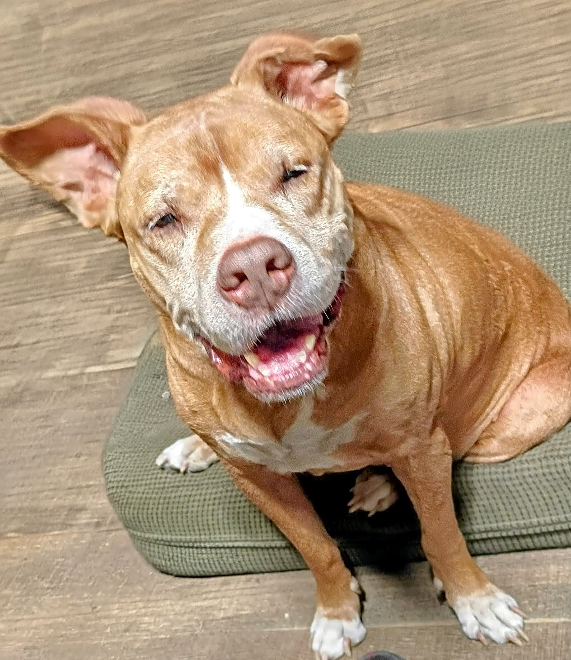 Photo of Jada