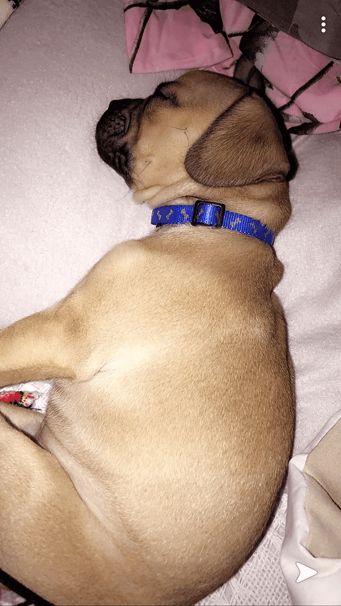 Photo of Winnie