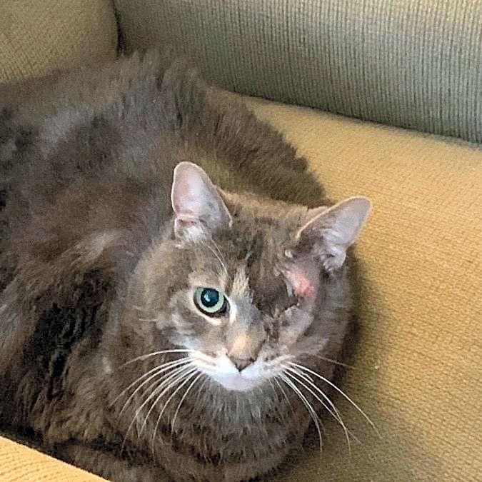 Photo of Katie