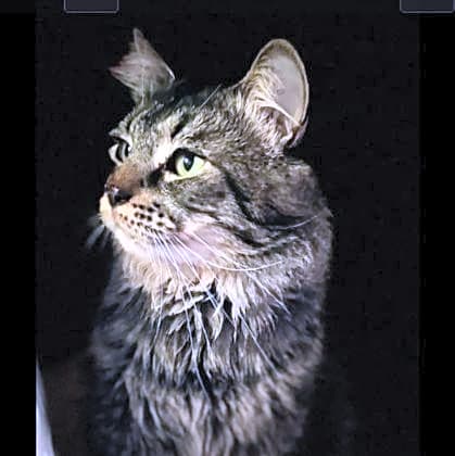 Photo of REX