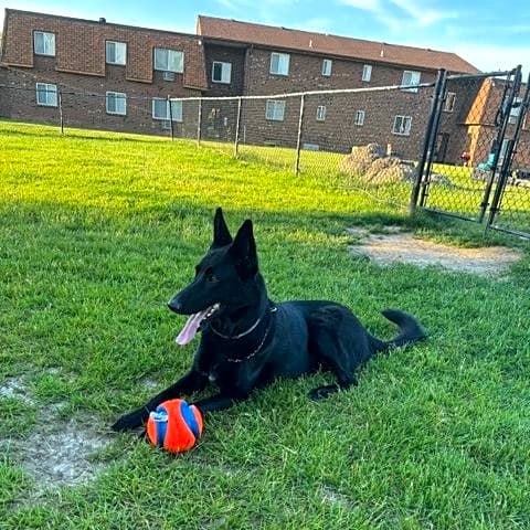Photo of Duke