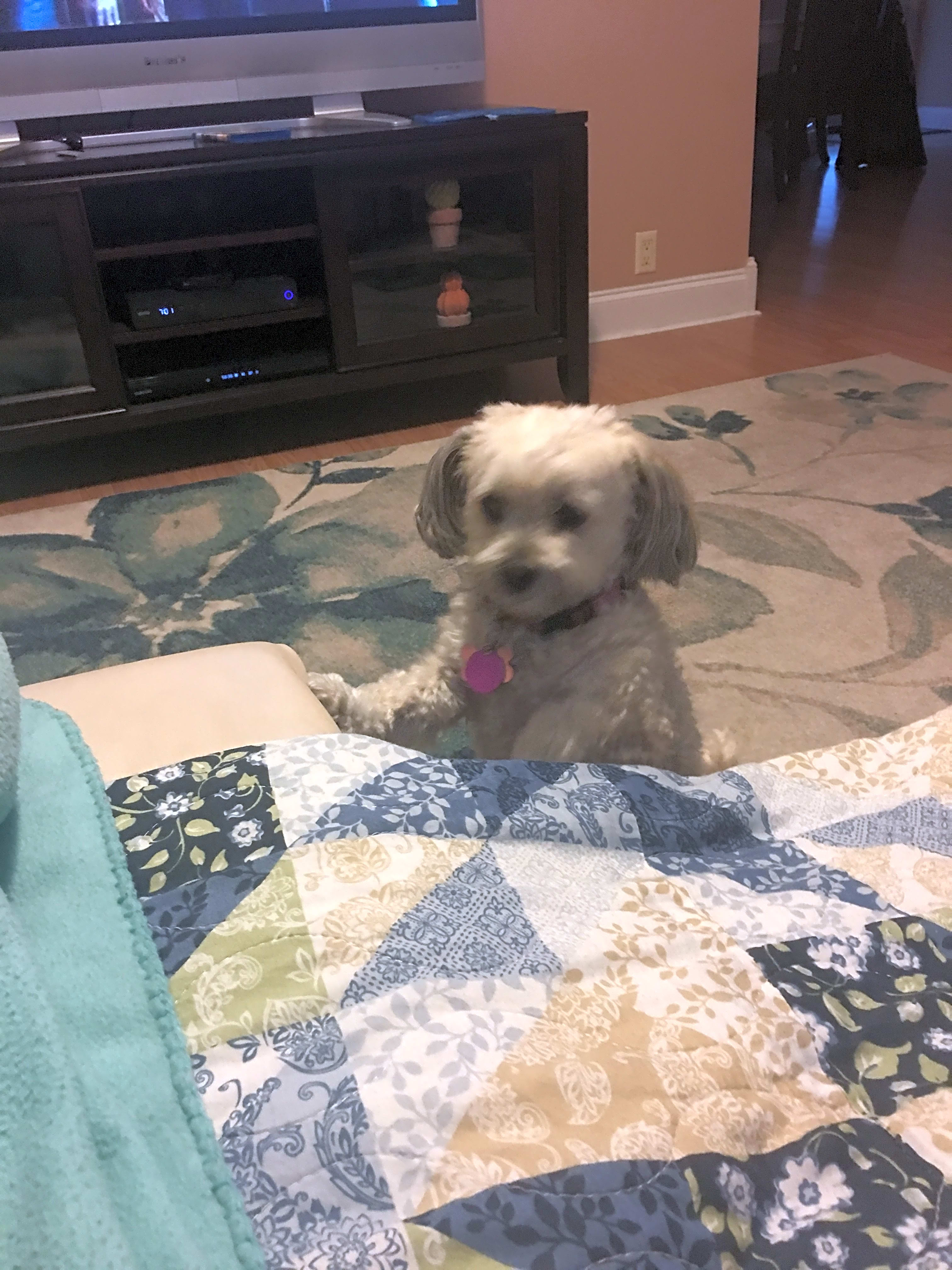 Photo of Sofie