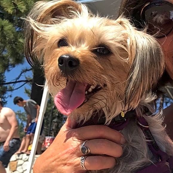 Photo of bella