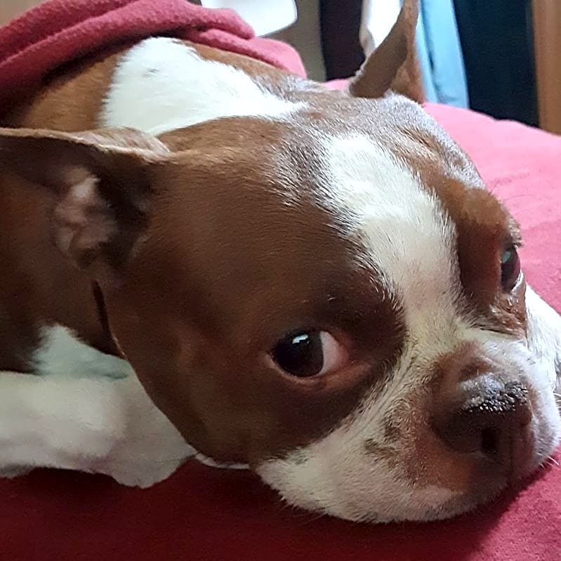 Photo of Brody Rose