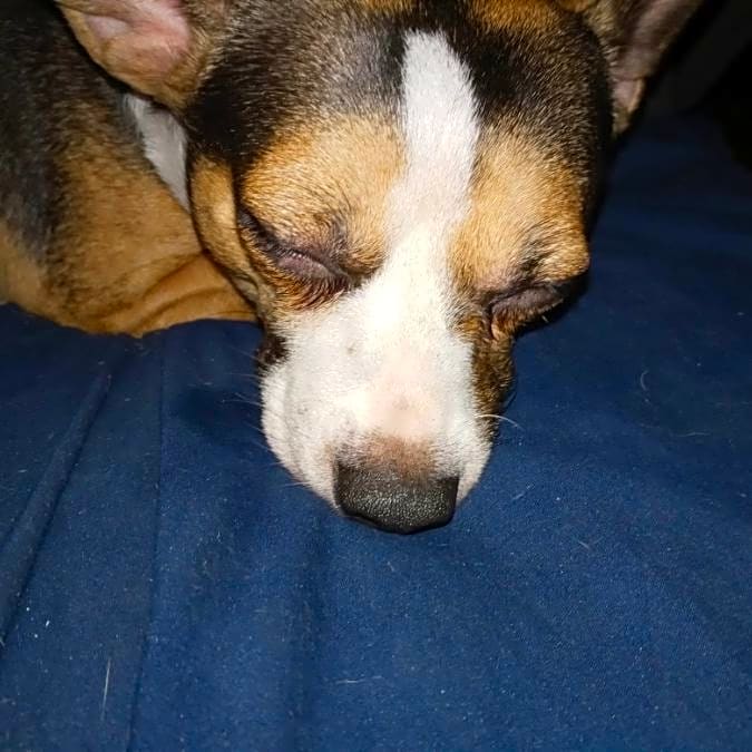 Photo of Jack