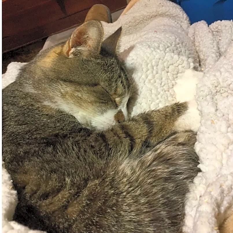 Photo of Max