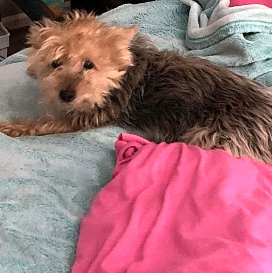 Photo of Charlie