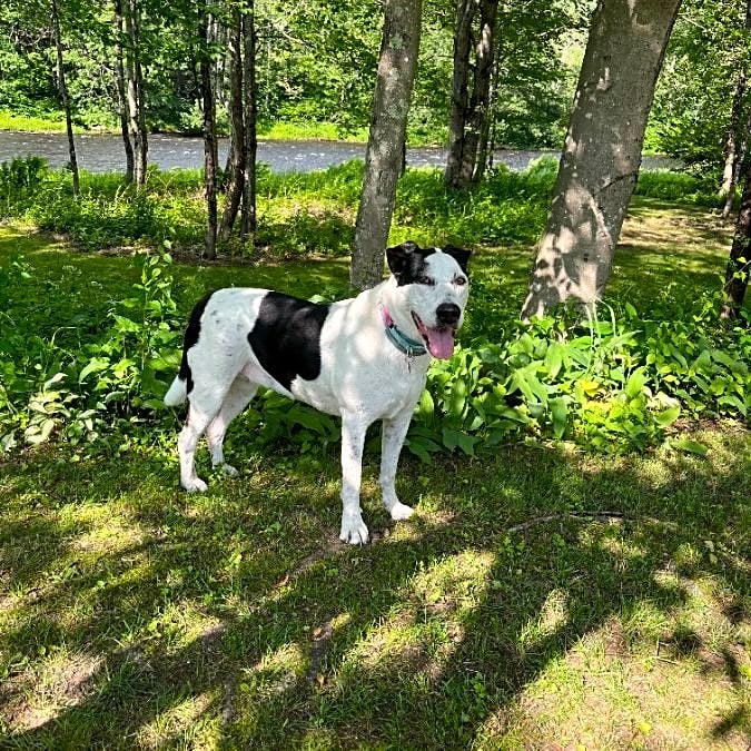 Photo of Lily