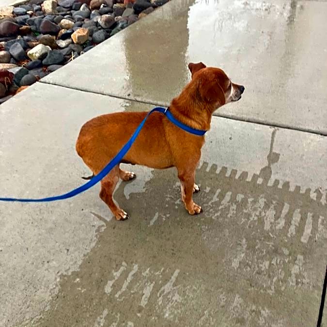 Photo of Gus
