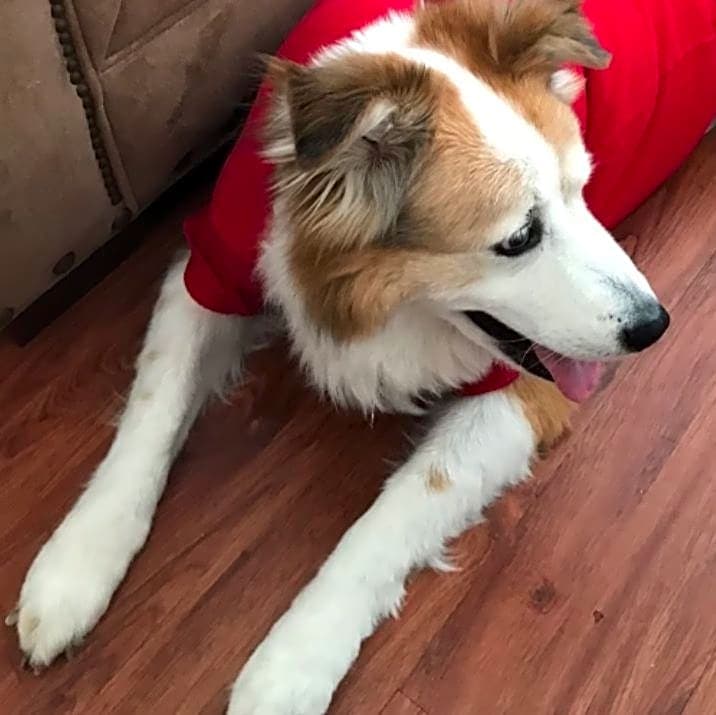 Photo of Jake