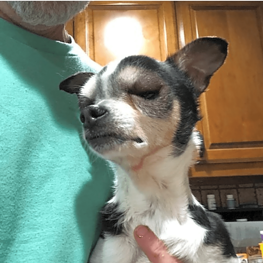Photo of Little Momma