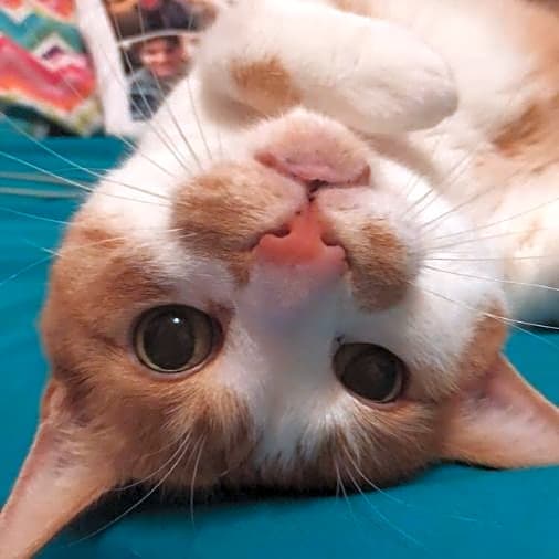 Photo of Sterling