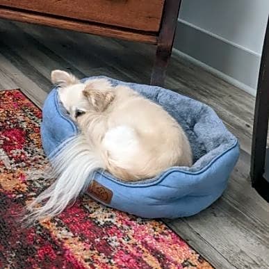 Photo of Alice