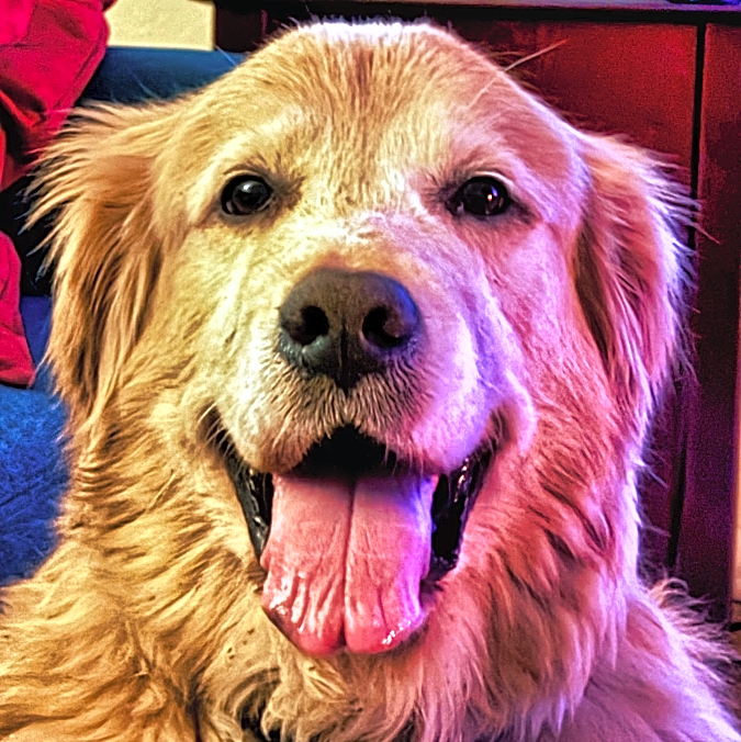 Photo of Duffy