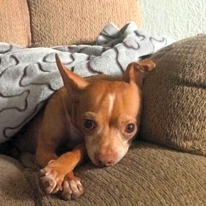 Photo of Tater Ramos