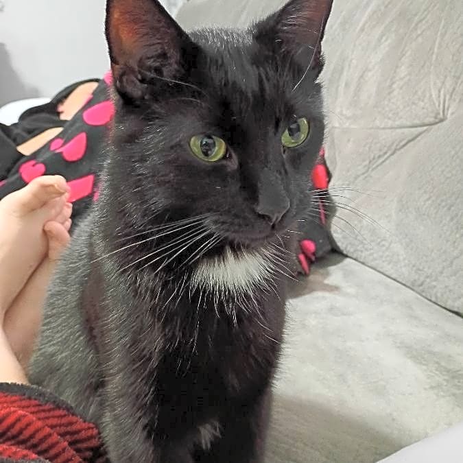 Photo of Thor
