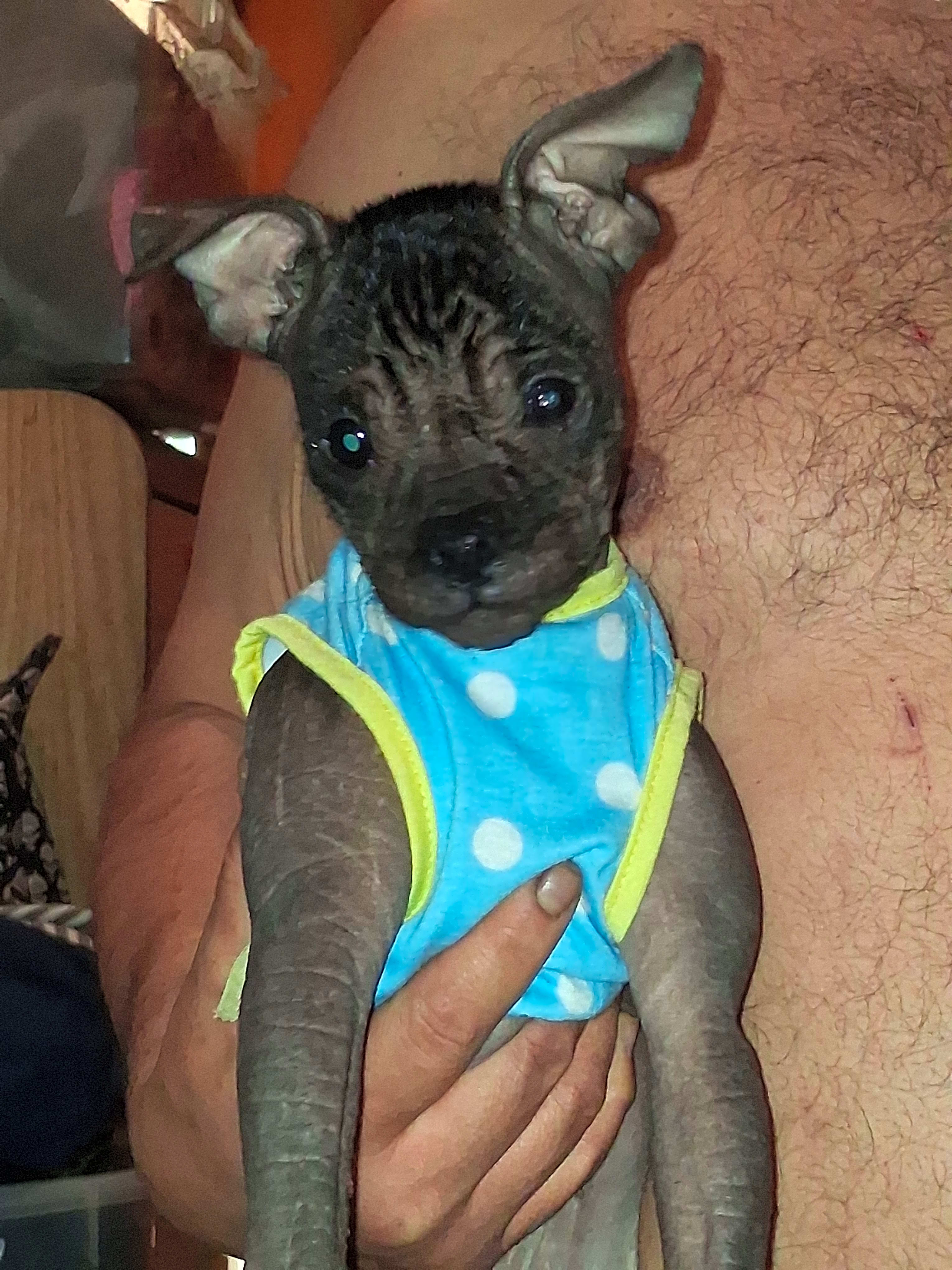 Photo of Onyx