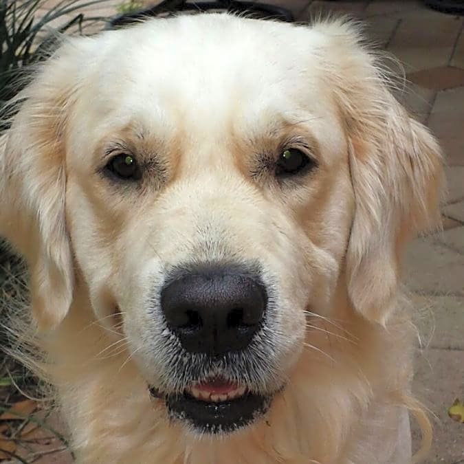 Photo of Winston