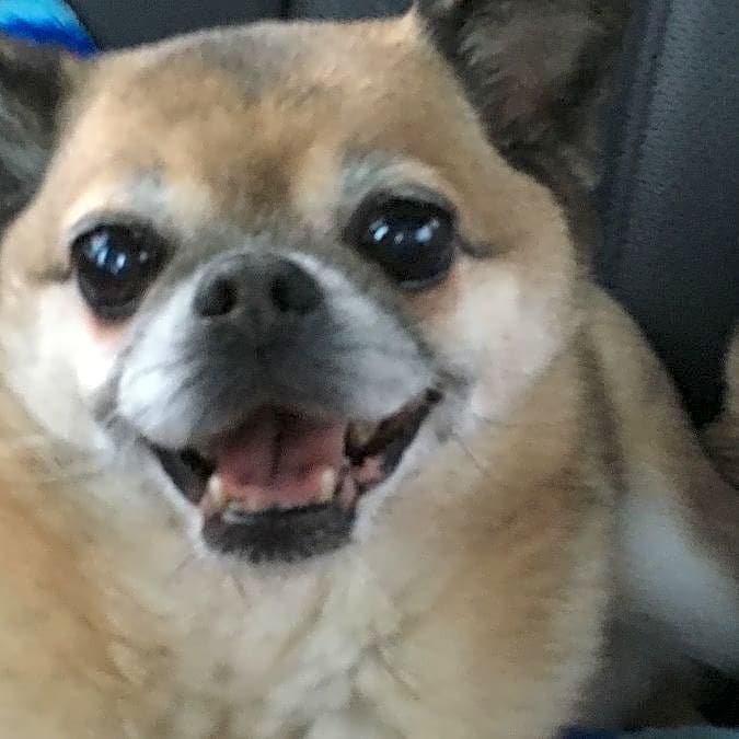 Photo of Trigger