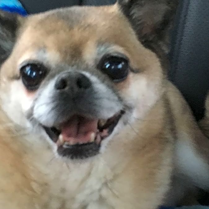 Photo of Trigger