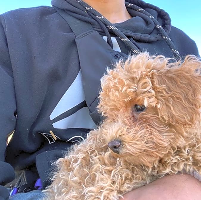Photo of Coco