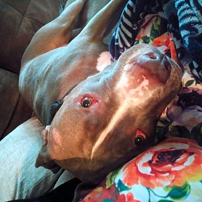 Photo of Ares
