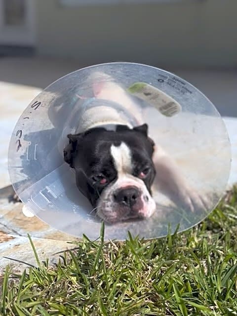 Photo of Nickle