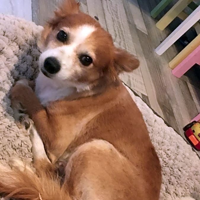 Photo of Coco