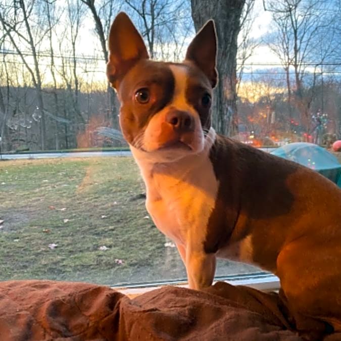 Photo of Lexy