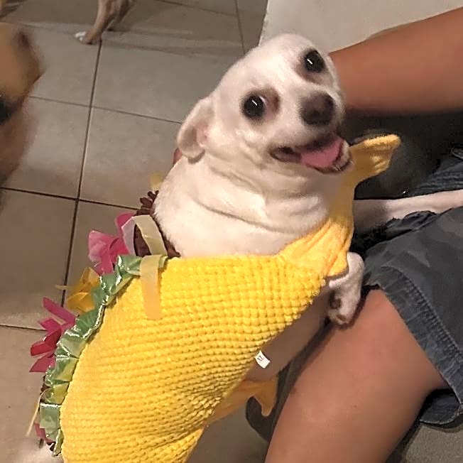 Photo of Chloe