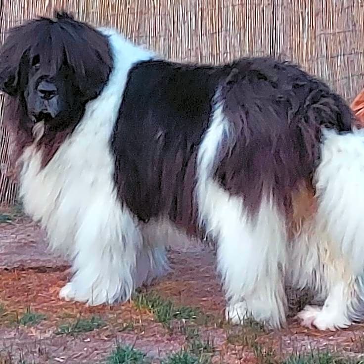 Photo of Finleigh