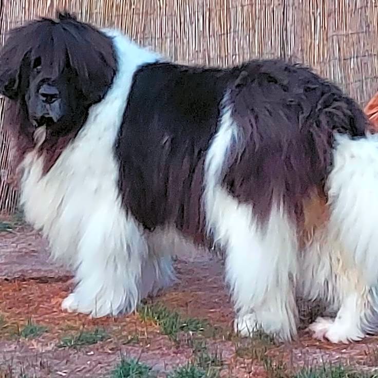 Photo of Finleigh