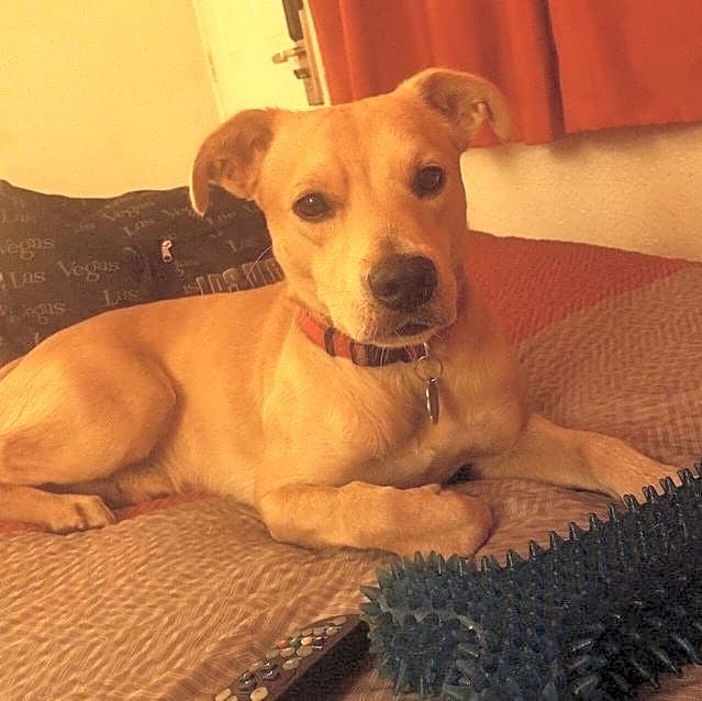 Photo of Deuce