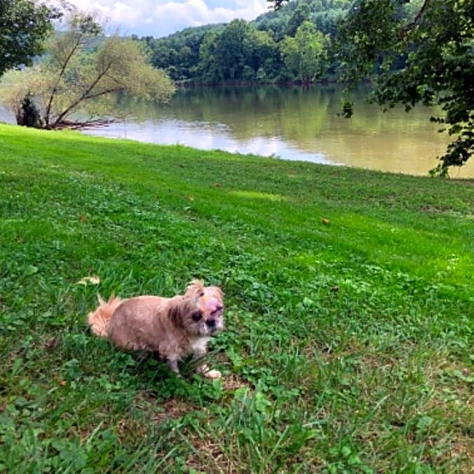 Photo of Albie