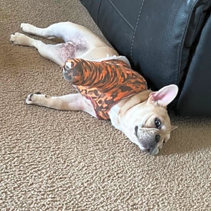 Photo of Snookie