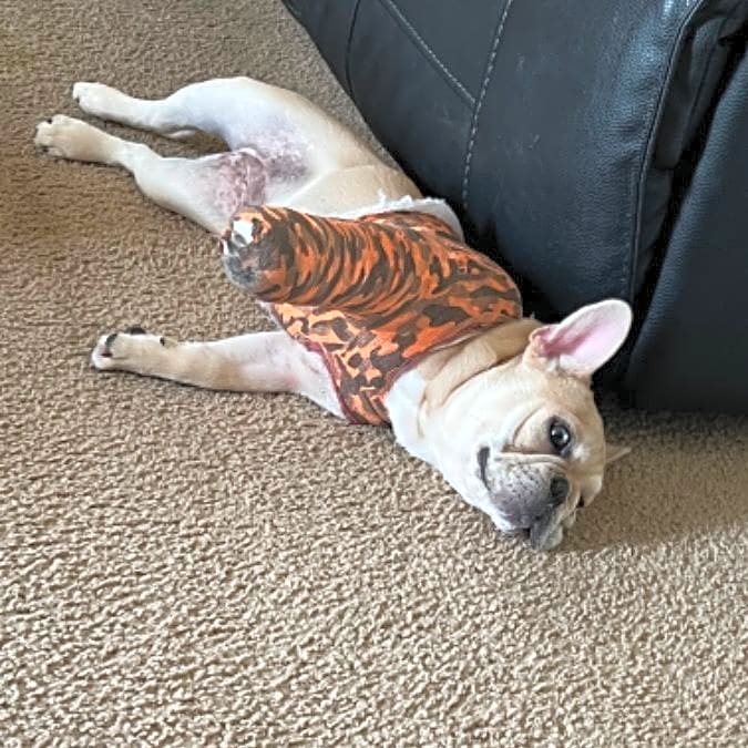 Photo of Snookie