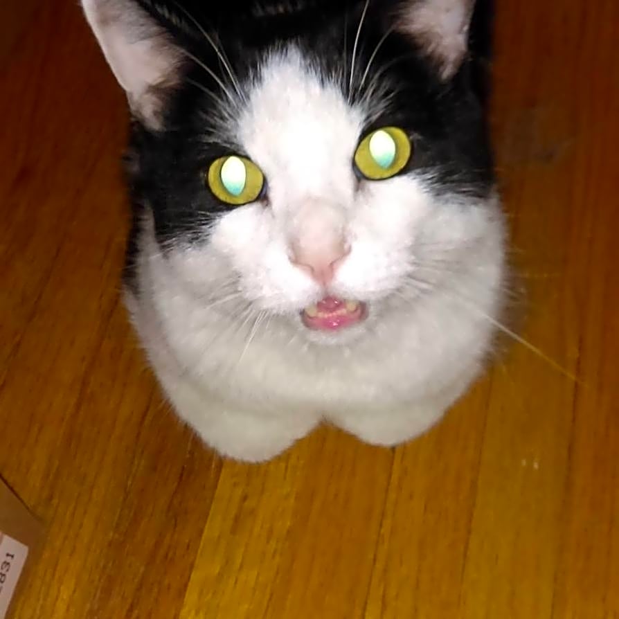 Photo of Whimpee