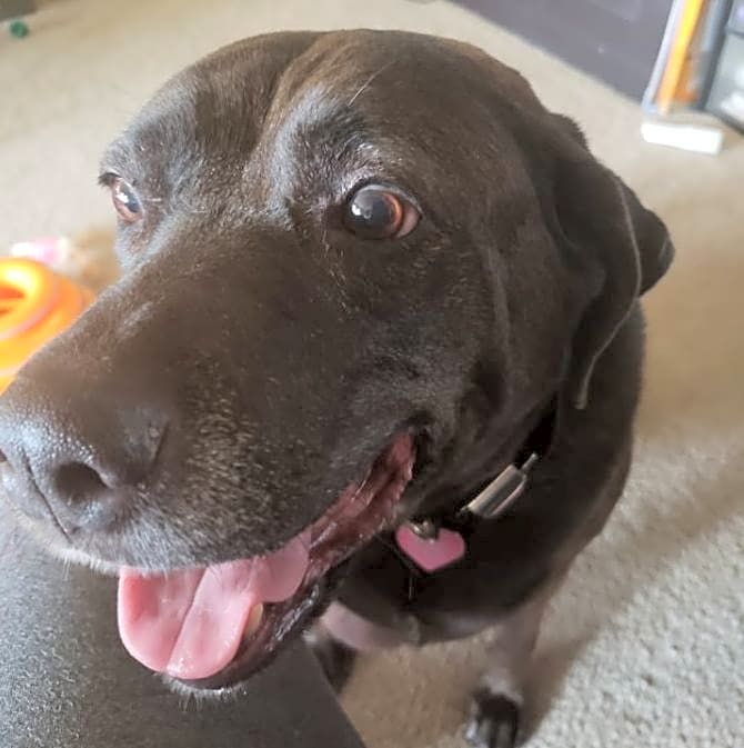 Photo of Abbie