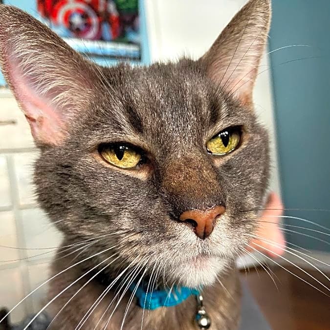 Photo of Mysticleese