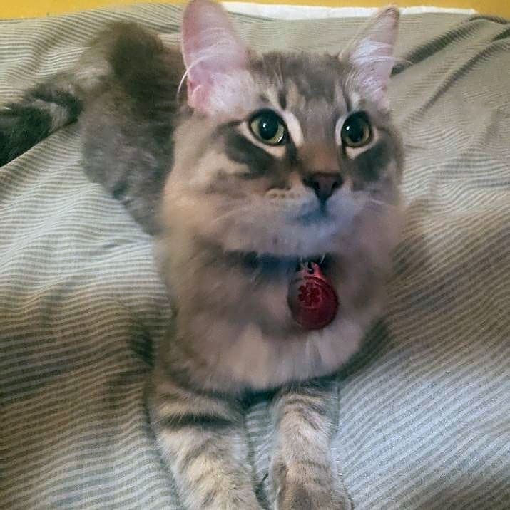 Photo of Cloud