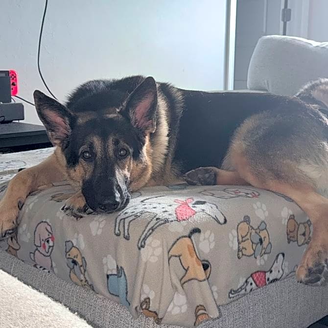 Photo of Riley