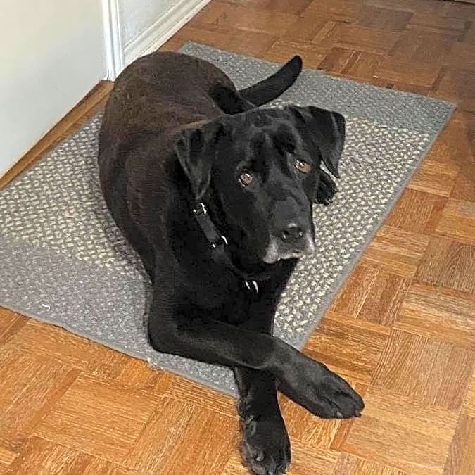 Photo of Jake