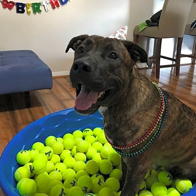 Photo of Odie Tiberius