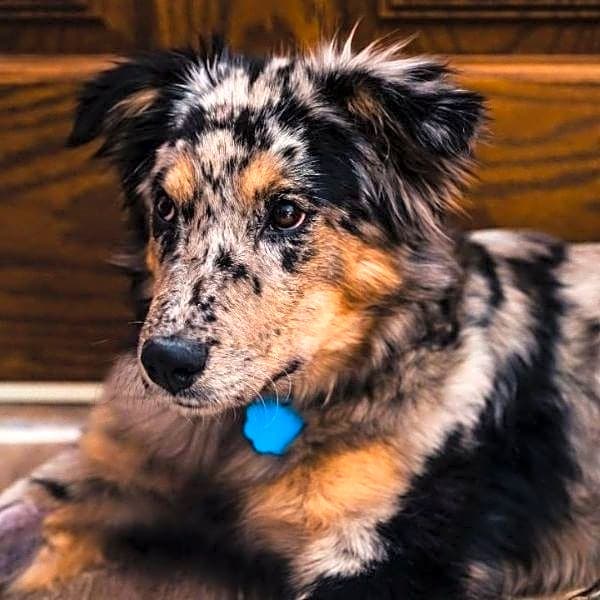 Photo of Laya