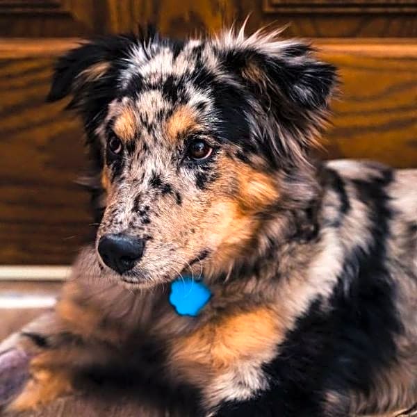 Photo of Laya