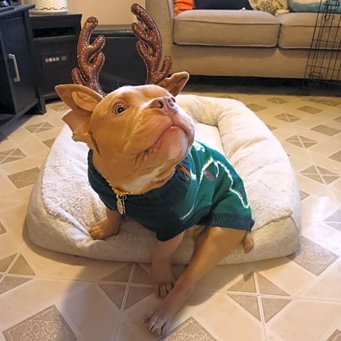 Photo of Buddy