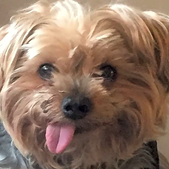 Photo of Boscoe