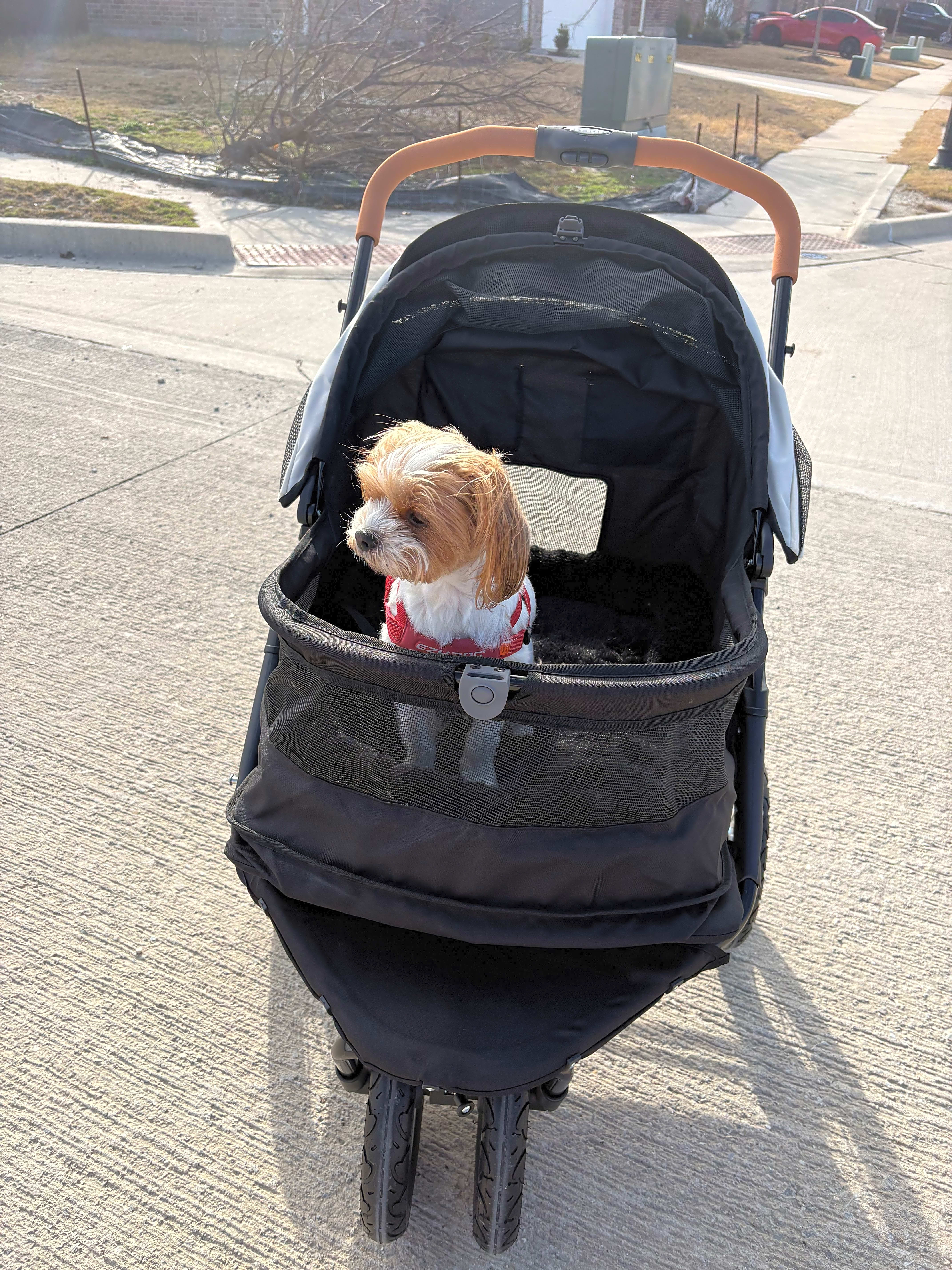 Photo of Skylar