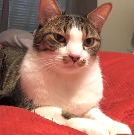 Photo of Willy