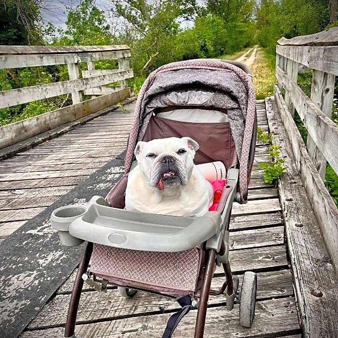 Photo of Farley